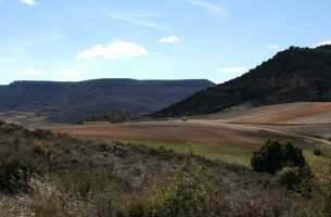 Villaseca de Henares: Mioceno