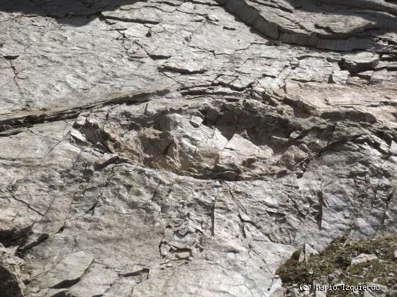 Los Campos: icnofósiles de terópodos y saurópodos