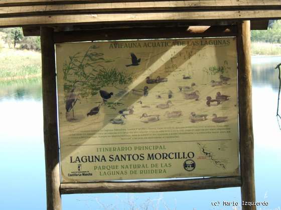 Ruidera: Laguna Santos Morcillo