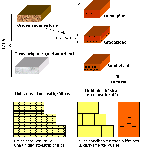 Unidades en Estratigrafía