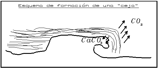 Esquema Precipitación CaCO3