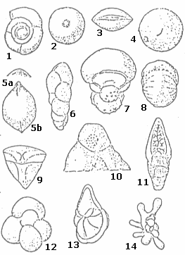 Aberturas