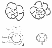 Tipos de Cámaras Embrionarias