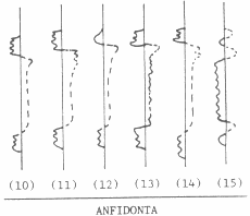 Charnelas Anfidonta