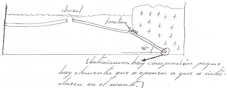 Proceso de subducción