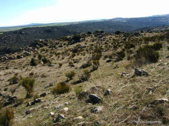 Gallegos de Altamiros: Rampa Estructural