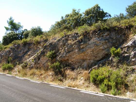 Sierra de Altomira: Cretácico