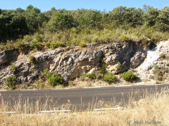 Sierra de Altomira: Cretácico