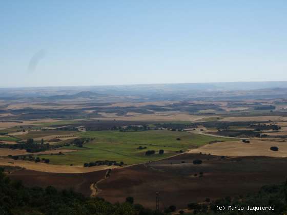 Sierra de Altomira: Cretácico