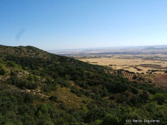 Sierra de Altomira: Cretácico