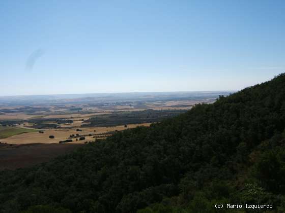 Sierra de Altomira: Cretácico