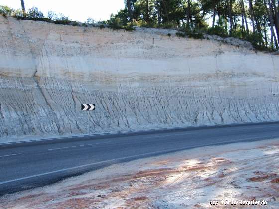 Huerta del Rey: Albiense: Facies Utrillas