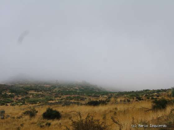 Ortigosa de Rioalmar: Ordovícico basal