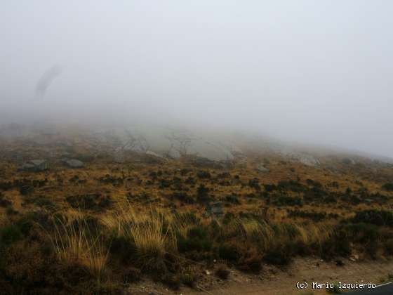 Ortigosa de Rioalmar: Ordovícico basal