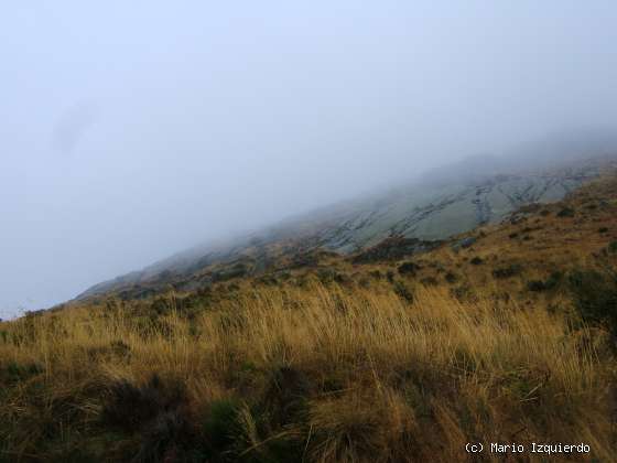 Ortigosa de Rioalmar: Ordovícico basal