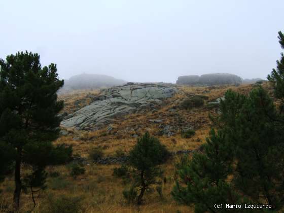 Ortigosa de Rioalmar: Ordovícico basal