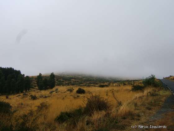 Ortigosa de Rioalmar: Ordovícico basal