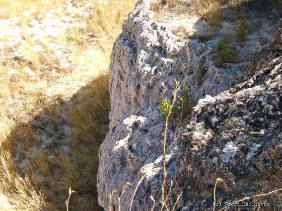 Ruidera: Detalle toba