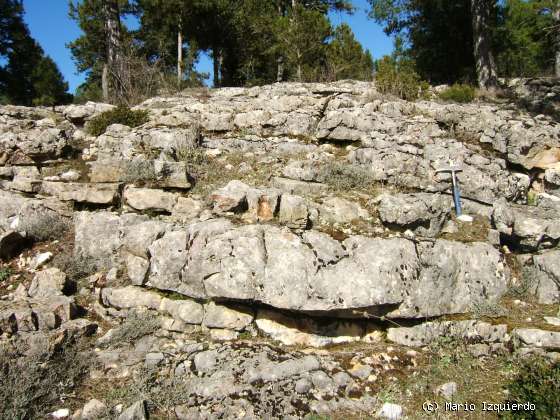 Buenache de la Sierra: Facies Utrillas