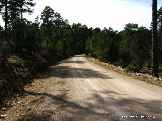 Buenache de la Sierra: Facies Utrillas