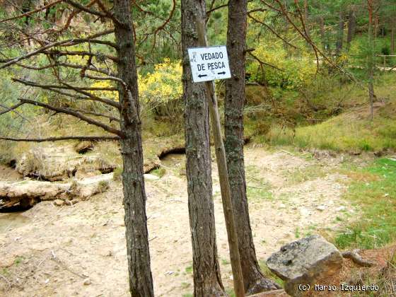 Nacimiento del Río Cuervo