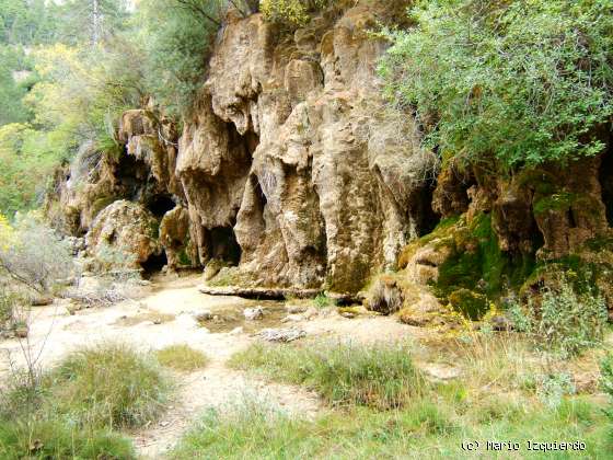 Nacimiento del Río Cuervo