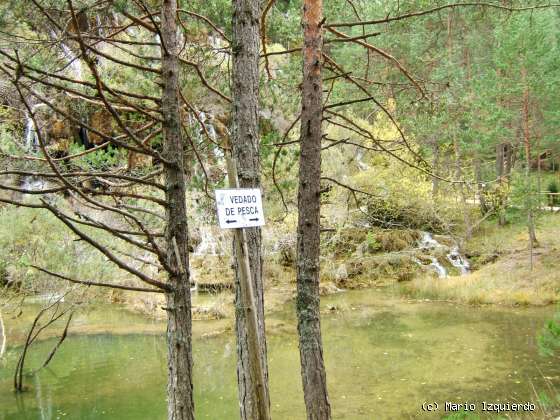 Nacimiento del Río Cuervo