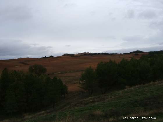 Chillarón - Sacedoncillo - Torralba: Neógeno