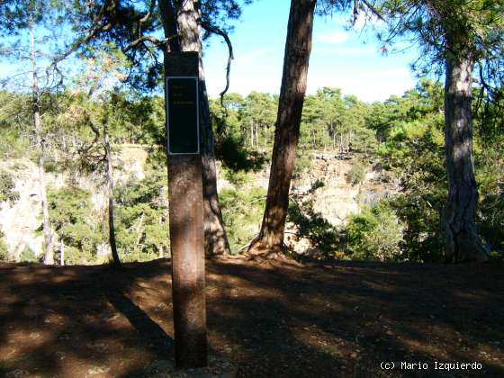 Torcas de los Palancares