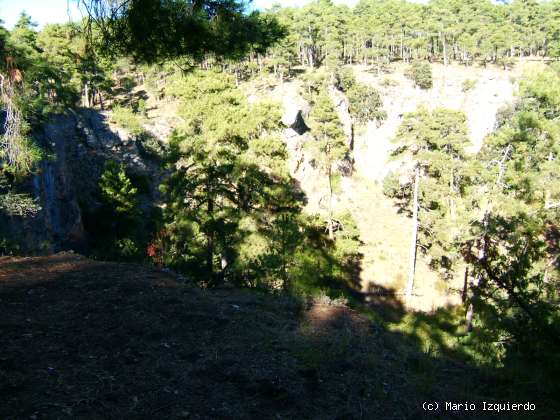 Torcas de los Palancares