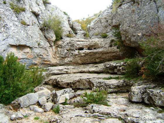 Vega del Codorno