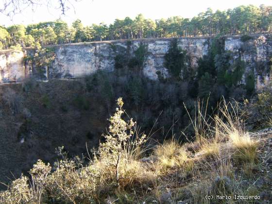 Torcas de los Palancares