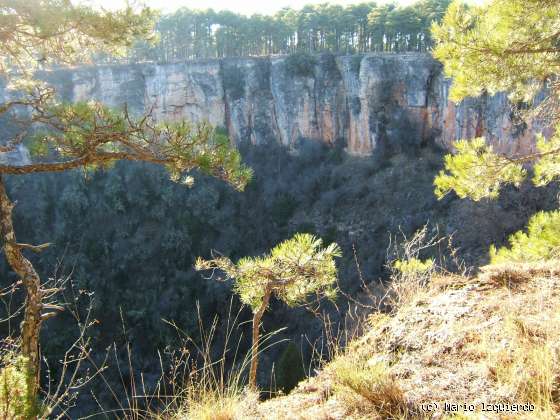 Torcas de los Palancares