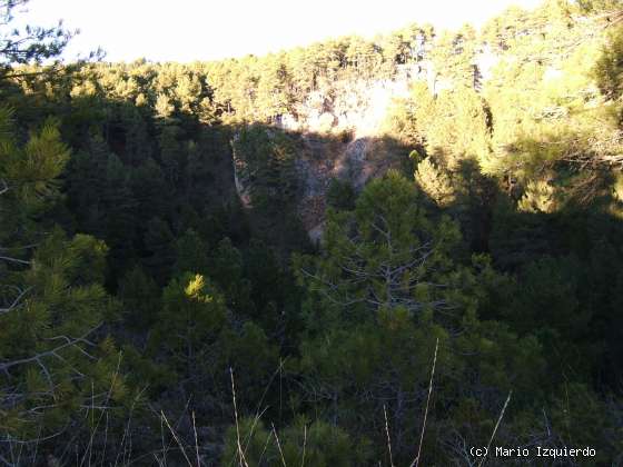 Torcas de los Palancares