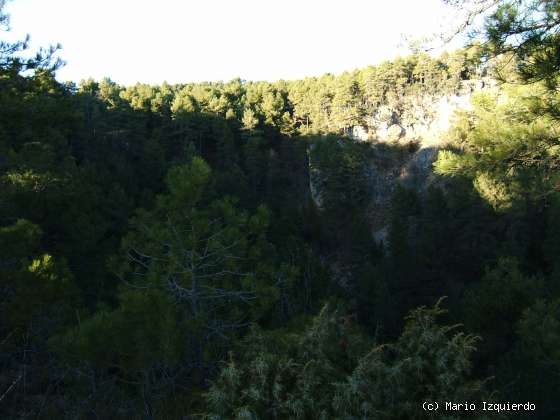 Torcas de los Palancares