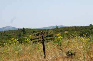 Almiruete - Palancares - Valverde de los Arroyos