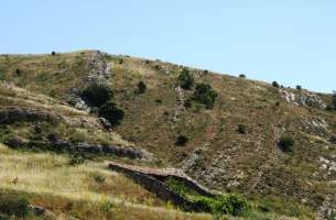 Cortes de Tajuña: Formación Cortes de Tajuña