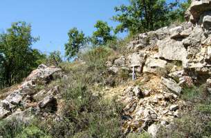 Cortes de Tajuña: Formación Cortes de Tajuña