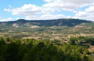 Cretácico: Sierra de Altomira - Entrepeñas