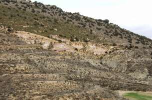 Estratigrafía: Toarcience-Aaleniense