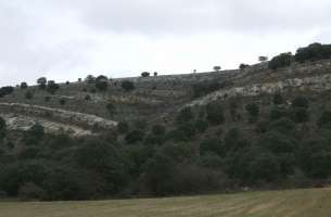 Huérmeces del Cerro