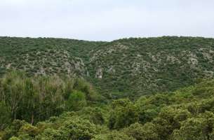 La Tajera: Muro del embalse a contrabuzamiento calizas Cretácico