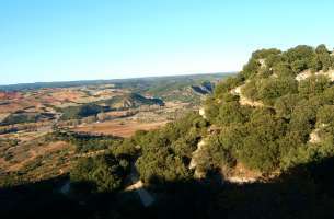 Mirabueno: Páramo y Valle del Río Dulce - Henares