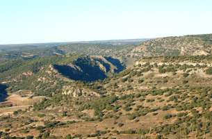 Mirabueno: Páramo y Valle del Río Dulce - Henares