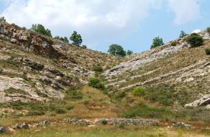 Renales - Laranueva: Cortes de Tajuña