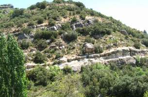 Viana: Montes Isla