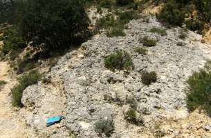 Viana: Montes Isla
