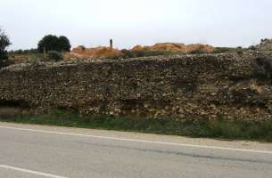 Pozo de Almoguera - Yebra - Almoguera: Silicificaciones y Yesos