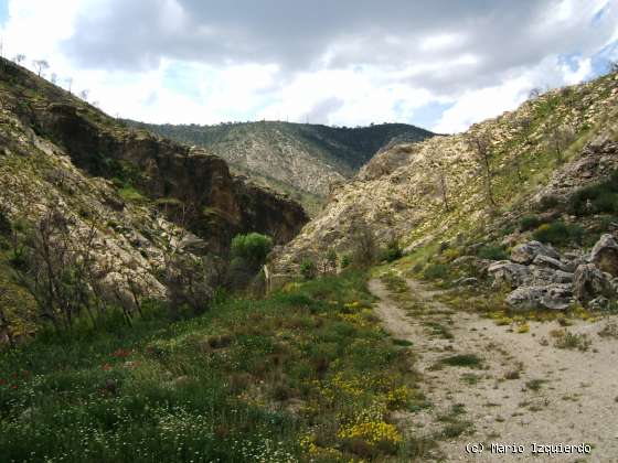 Jabalera: Sierra de Altomira