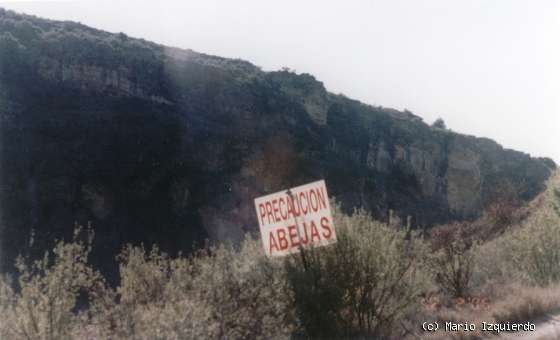 Tortuero: Los riesgos de la Geología